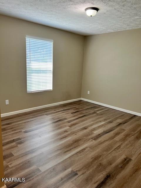 713 Parsonage Road Dandridge, TN 37725 - Photo 12 of 17 IMG_7291