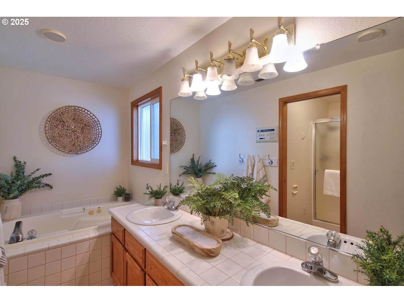 8411 Southwest 184th Loop Beaverton, OR 97007 - Photo 20 of 34 a bathroom with a sink a mirror and a potted plant