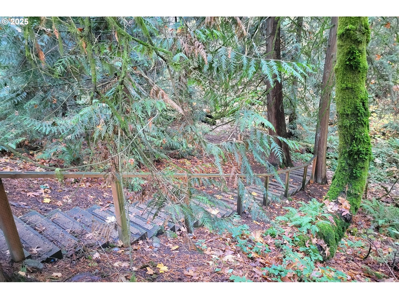 8411 Southwest 184th Loop Beaverton, OR 97007 - Photo 31 of 34 a backyard of a house with lots of green space