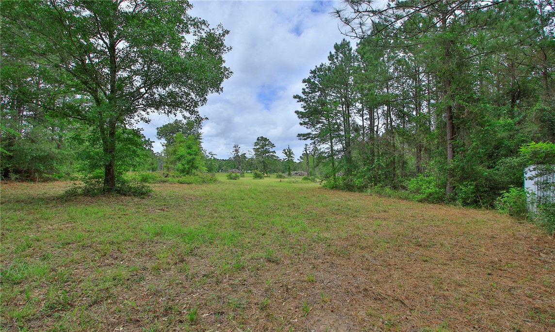5914 Carter Road Waller, TX 77484 - Photo 26 of 41