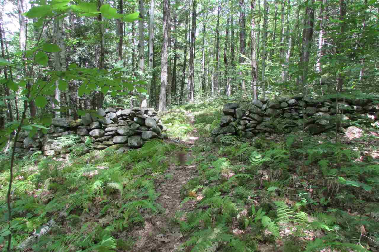 51 Meetinghouse Road Norwich, VT 05055 - Photo 1 of 7