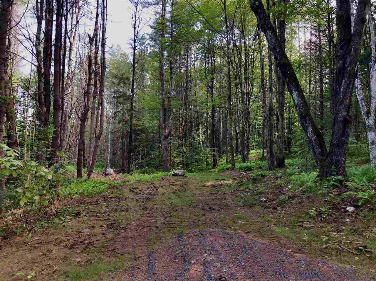 51 Meetinghouse Road Norwich, VT 05055 - Photo 4 of 7