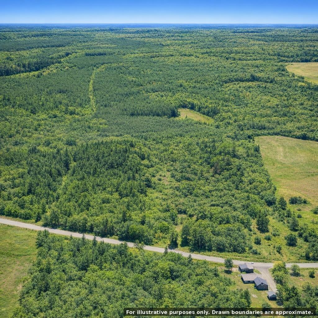 40.8 Acres Johnson Bridge Road Ariton, AL 36311 - Photo 2 of 10