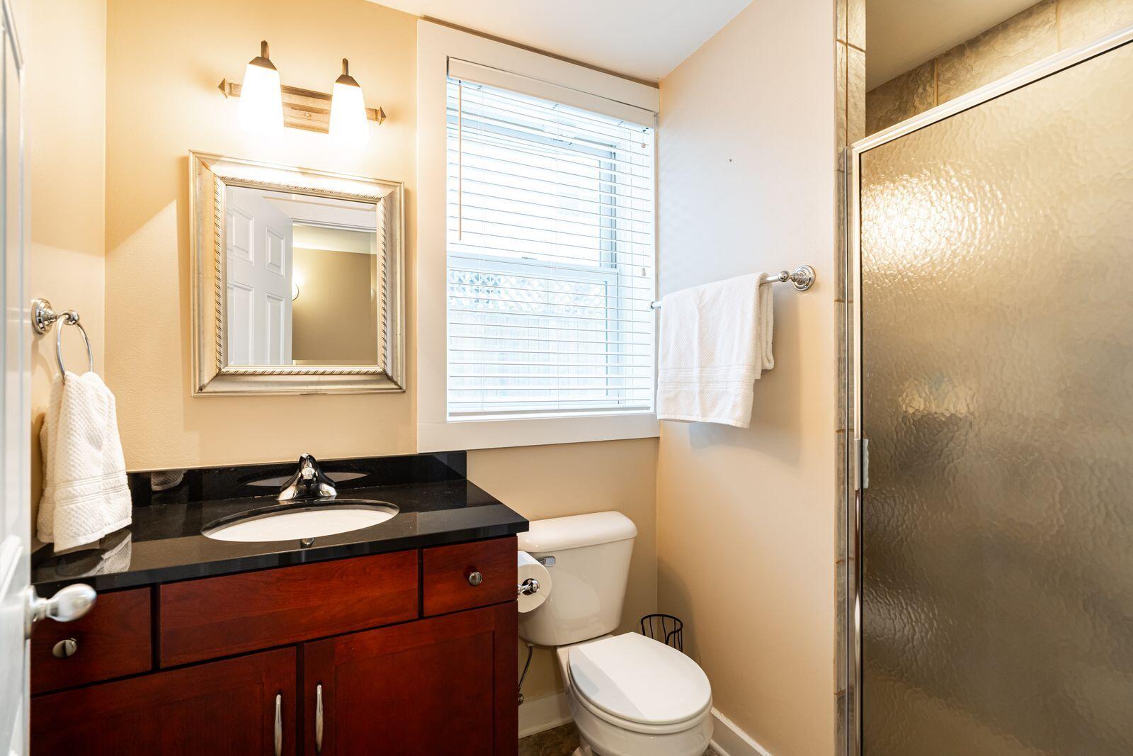 1847 Vel R. Phillips Avenue, Unit B Milwaukee, WI 53212 - Photo 31 of 34 Lower Level Full Bathroom