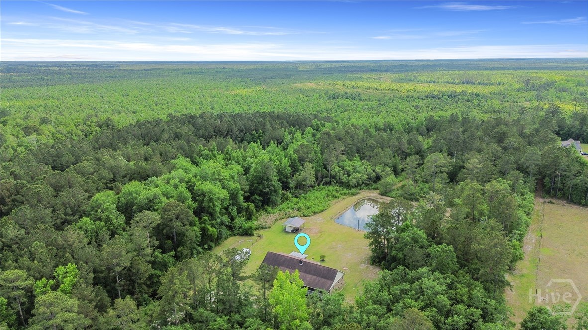 1280 Little McCall Road Guyton, GA 31312 - Photo 7 of 37 Gallery Image 7