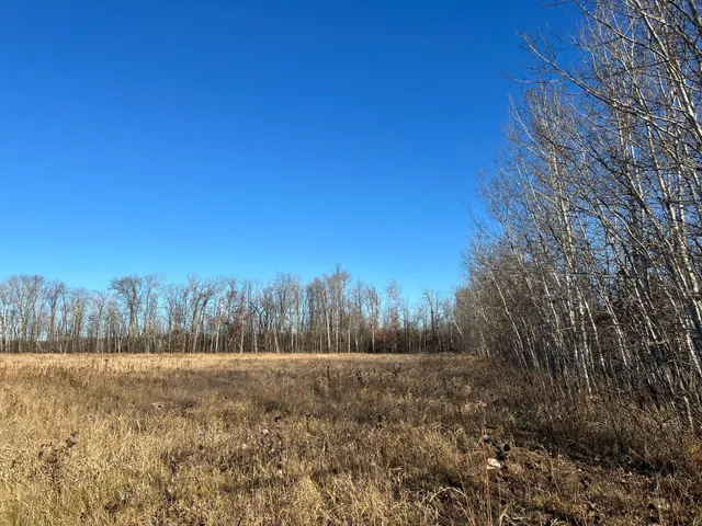 $124,900 | 23 Highway 23, Oak Park, MN 56357