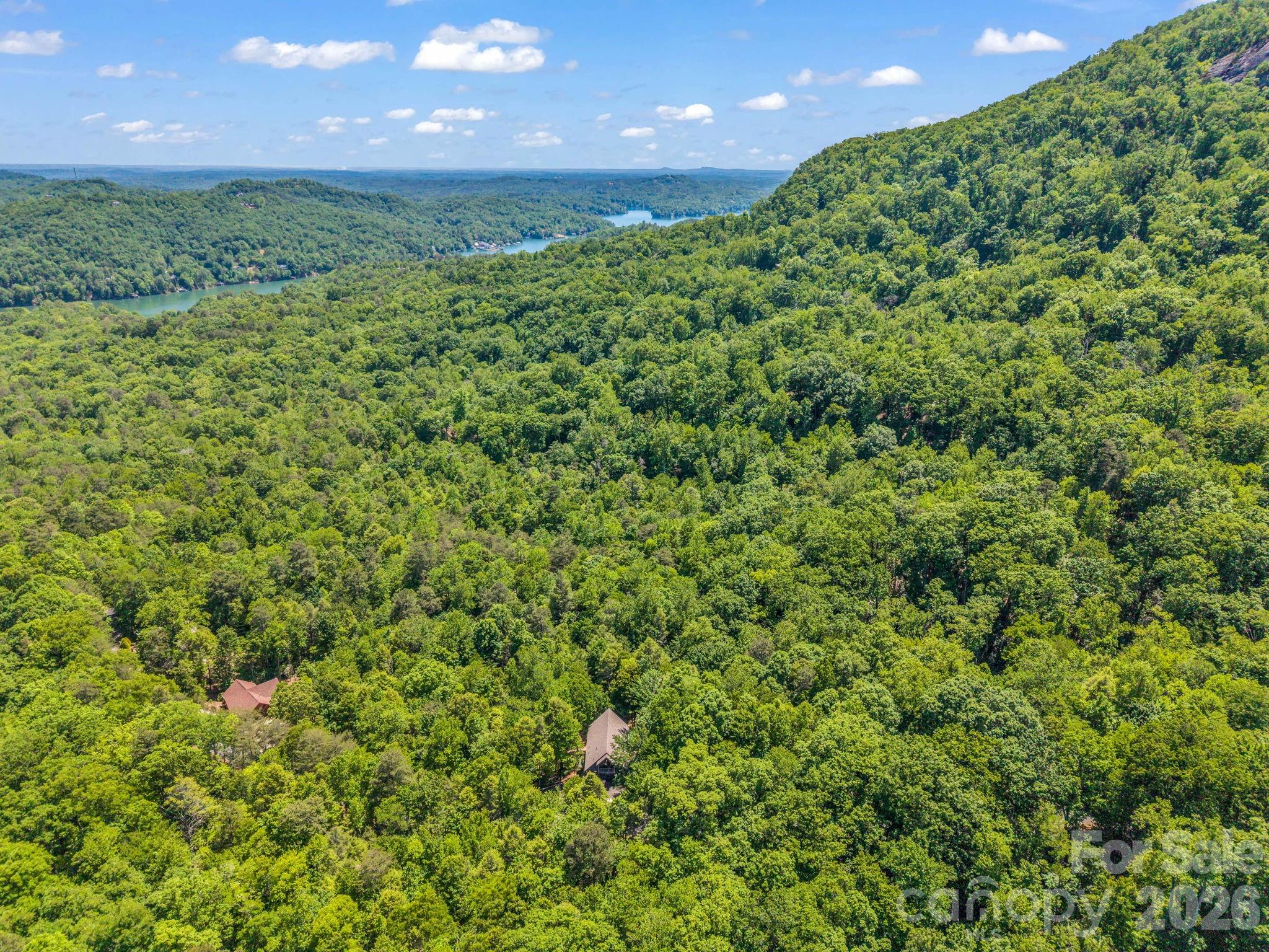 331 Quail Ridge Road Lake Lure, NC 28746 - Photo 40 of 40 Gallery Image 40