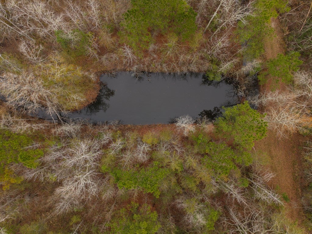 998 Fellowship Road Hahira, GA 31632 - Photo 77 of 79 Gallery Image 77