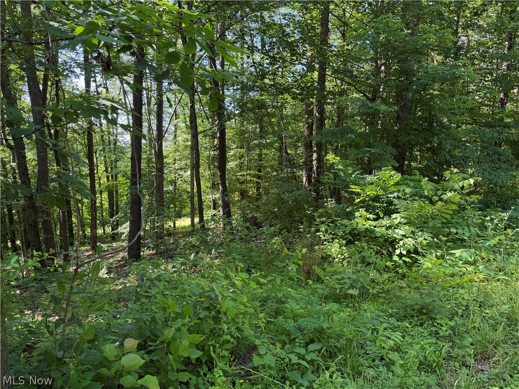0 Fisher Ridge Road Fleming, OH 45729 - Photo 5 of 5 View from Road