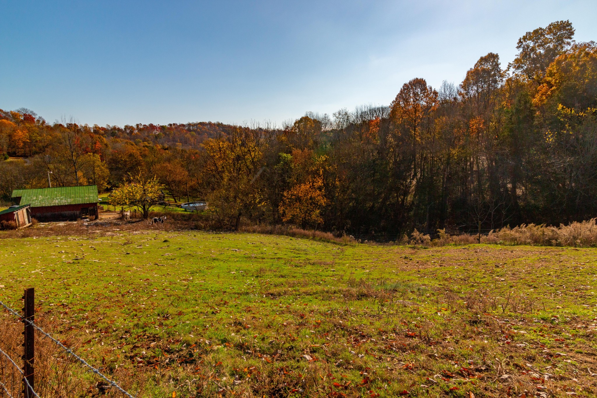 1317 Poor House Road Lewisburg, TN 37091 - Photo 35 of 47 Gallery Image 35