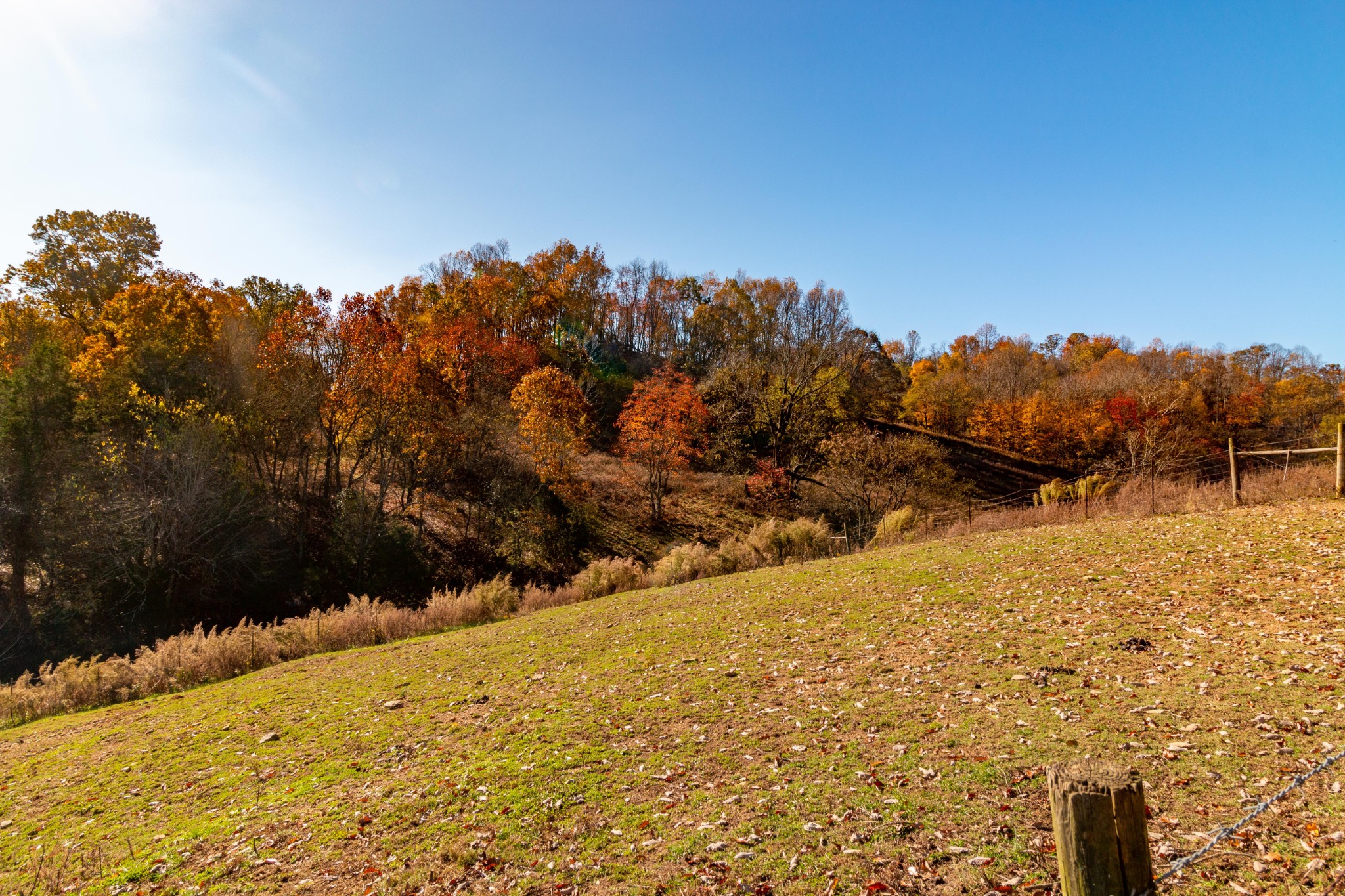 1317 Poor House Road Lewisburg, TN 37091 - Photo 36 of 47 Gallery Image 36