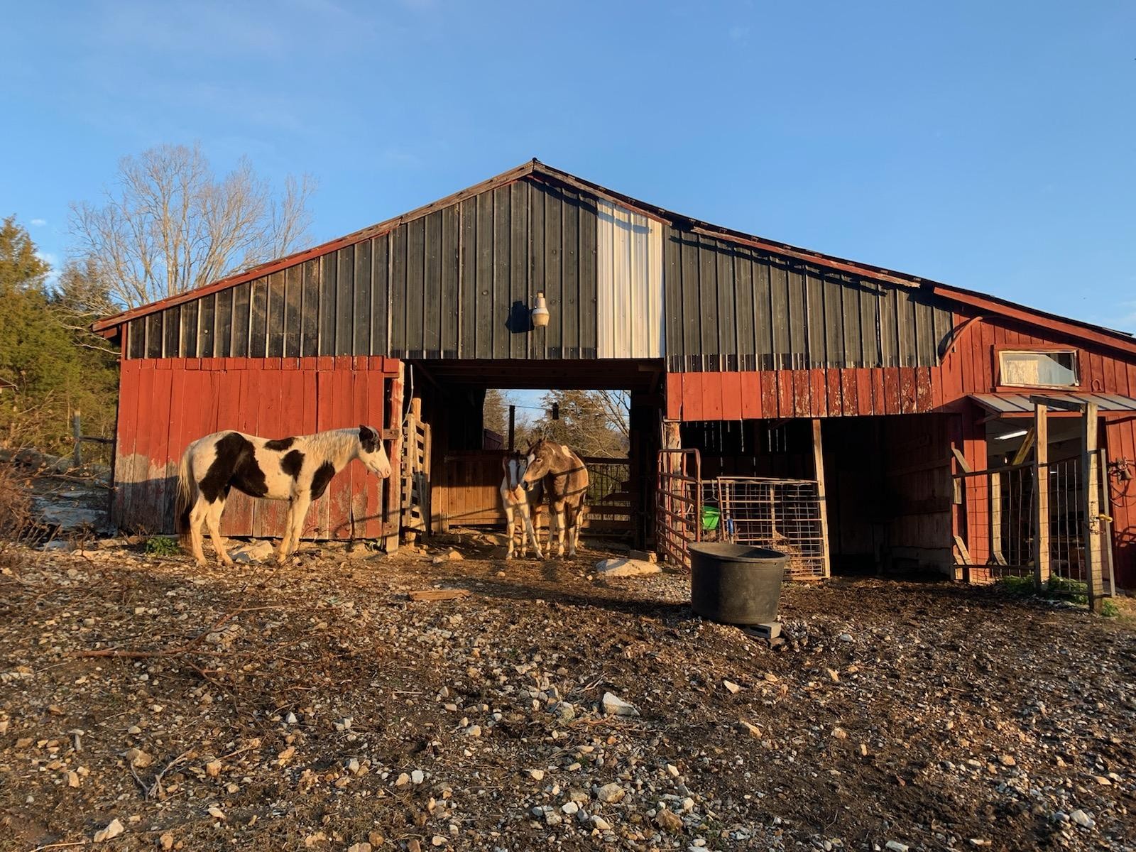 1317 Poor House Road Lewisburg, TN 37091 - Photo 42 of 47 Gallery Image 42