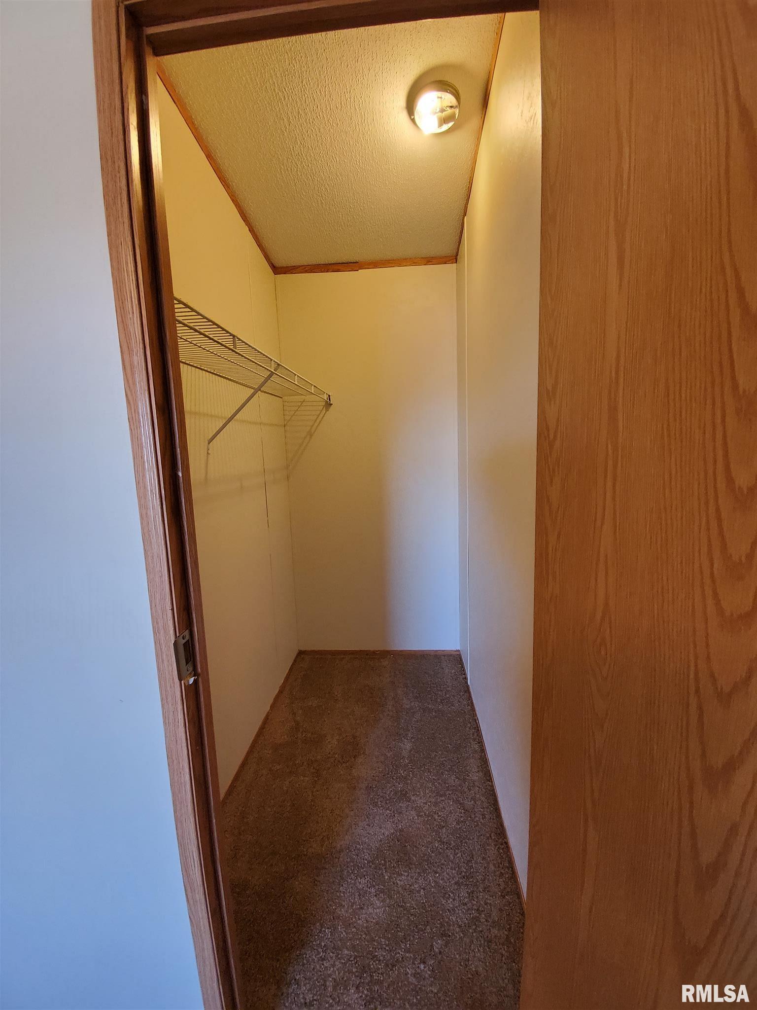 2080 Tyler Bridge Road Creal Springs, IL 62922 - Photo 23 of 42