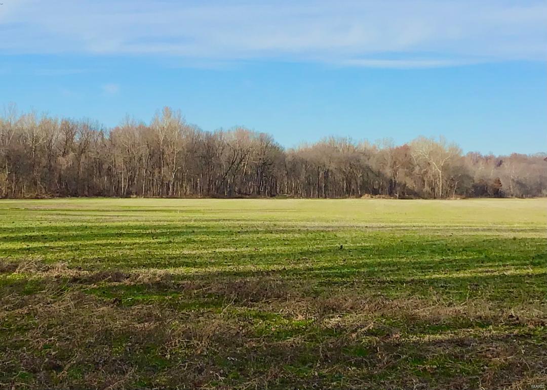 6275 Horneker Road Pacific, MO 63069 - Photo 4 of 7 Gallery Image 4