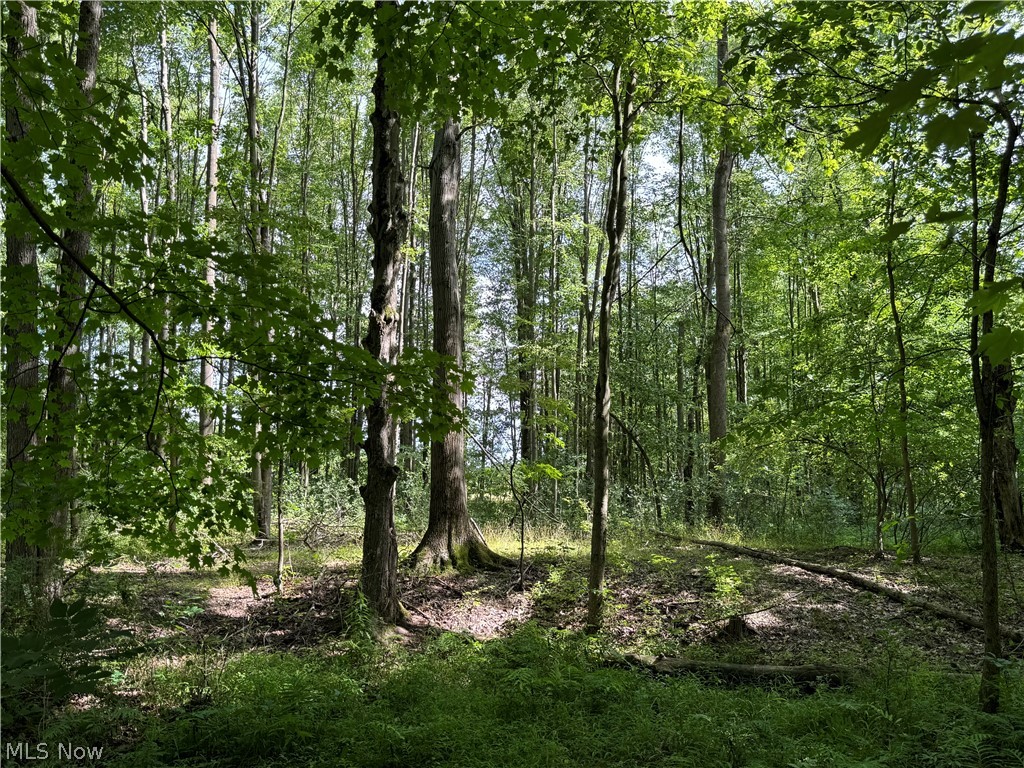 5 Leroy Center Road Thompson, OH 44086 - Photo 6 of 20