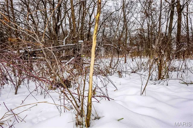 $1 | 0 Highway U Bowling Green, Bowling Green, MO 63334