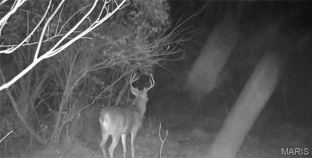 $1 | 0 Highway U Bowling Green, Bowling Green, MO 63334