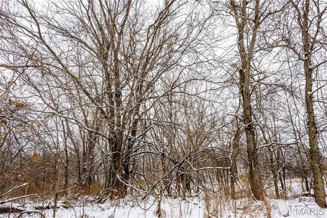 $1 | 0 Highway U Bowling Green, Bowling Green, MO 63334