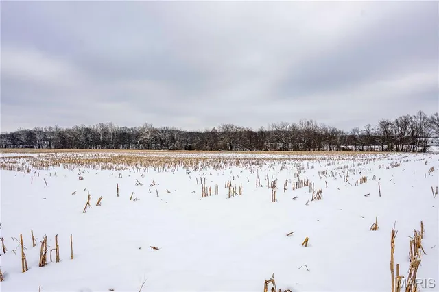 $1 | 0 Highway U Bowling Green, Bowling Green, MO 63334