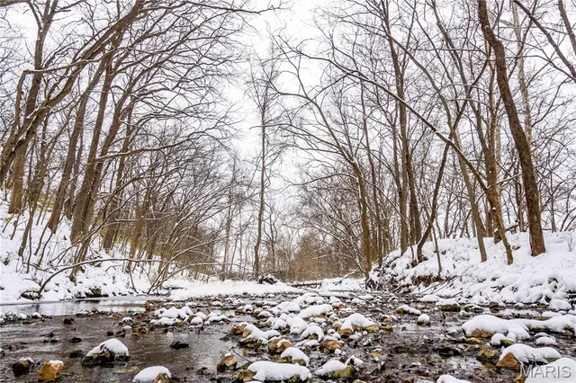 $1 | 0 Highway U Bowling Green, Bowling Green, MO 63334