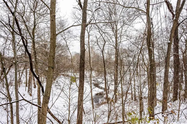 $1 | 0 Highway U Bowling Green, Bowling Green, MO 63334