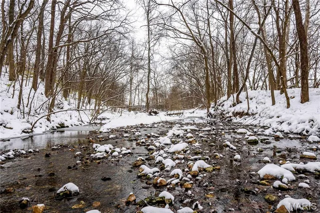 $1 | 0 Highway U Bowling Green, Bowling Green, MO 63334