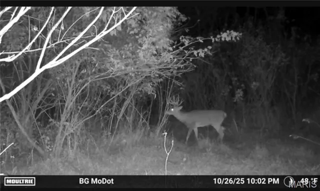 $1 | 0 Highway U Bowling Green, Bowling Green, MO 63334