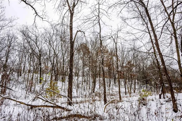 $1 | 0 Highway U Bowling Green, Bowling Green, MO 63334