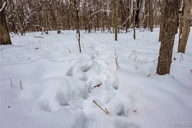 $1 | 0 Highway U Bowling Green, Bowling Green, MO 63334