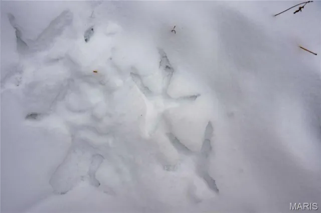 $1 | 0 Highway U Bowling Green, Bowling Green, MO 63334