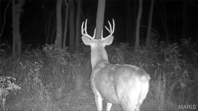 $1 | 0 Highway U Bowling Green, Bowling Green, MO 63334