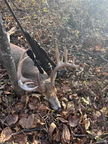 $1 | 0 Highway U Bowling Green, Bowling Green, MO 63334