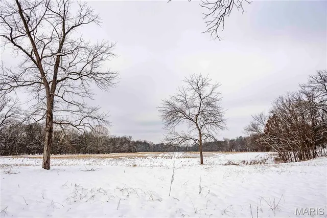 $1 | 0 Highway U Bowling Green, Bowling Green, MO 63334