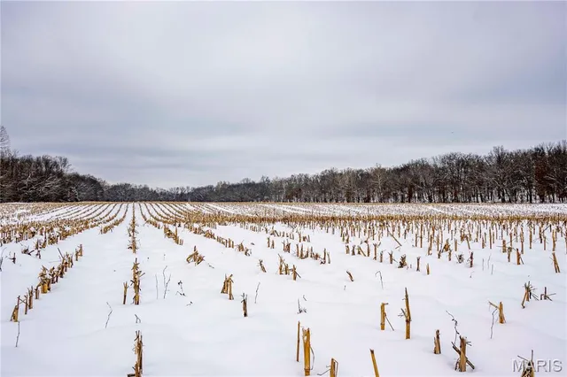 $1 | 0 Highway U Bowling Green, Bowling Green, MO 63334