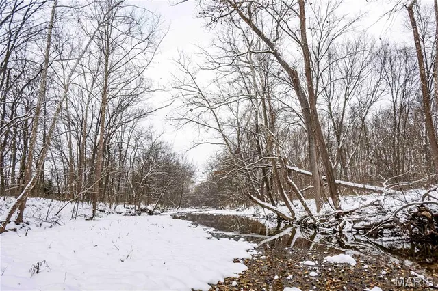 $1 | 0 Highway U Bowling Green, Bowling Green, MO 63334