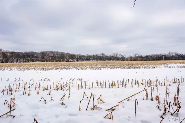 $1 | 0 Highway U Bowling Green, Bowling Green, MO 63334