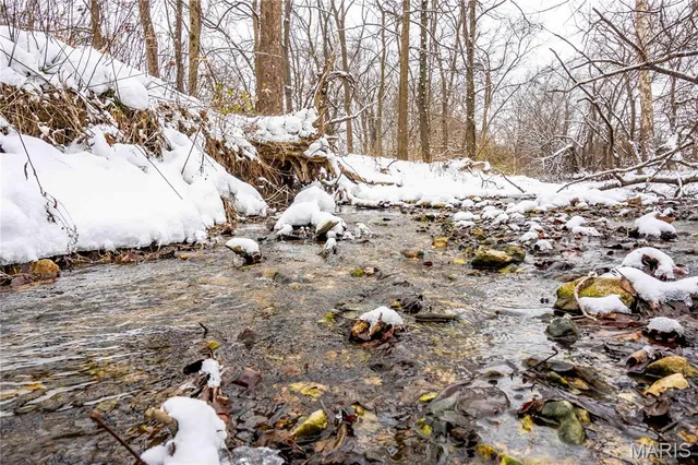 $1 | 0 Highway U Bowling Green, Bowling Green, MO 63334