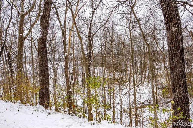 $1 | 0 Highway U Bowling Green, Bowling Green, MO 63334