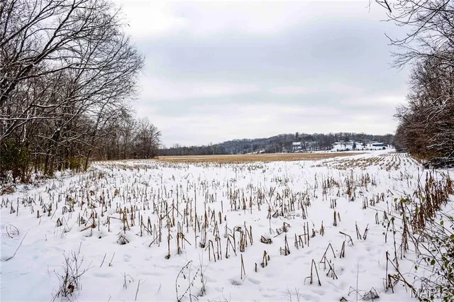 $1 | 0 Highway U Bowling Green, Bowling Green, MO 63334