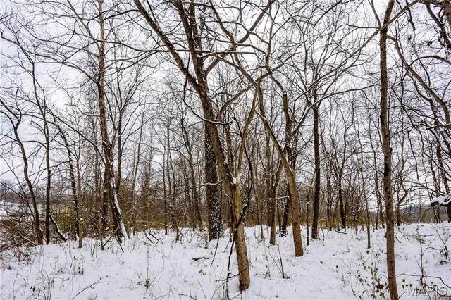 $1 | 0 Highway U Bowling Green, Bowling Green, MO 63334