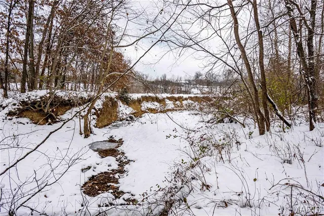 $1 | 0 Highway U Bowling Green, Bowling Green, MO 63334