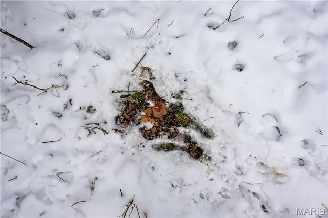 $1 | 0 Highway U Bowling Green, Bowling Green, MO 63334