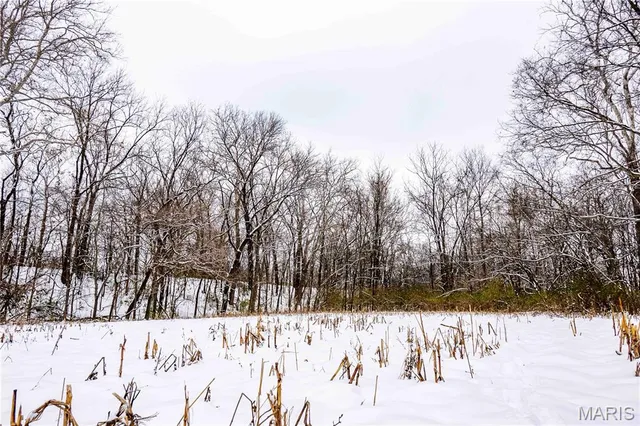 $1 | 0 Highway U Bowling Green, Bowling Green, MO 63334