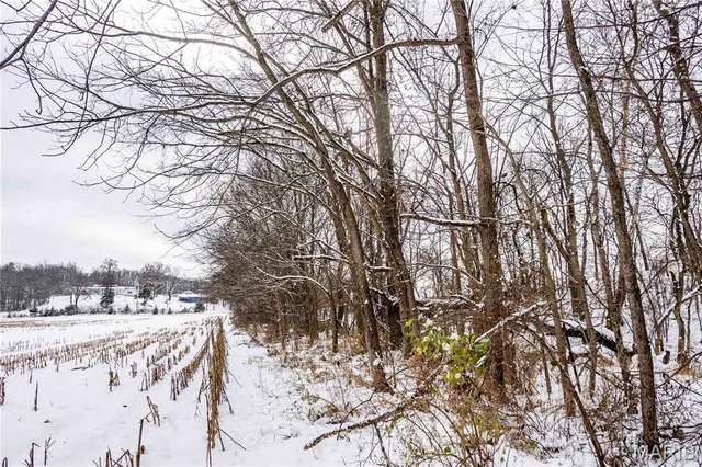 $1 | 0 Highway U Bowling Green, Bowling Green, MO 63334