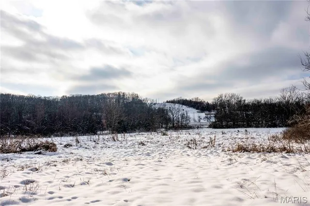 $1 | 0 Highway U Bowling Green, Bowling Green, MO 63334