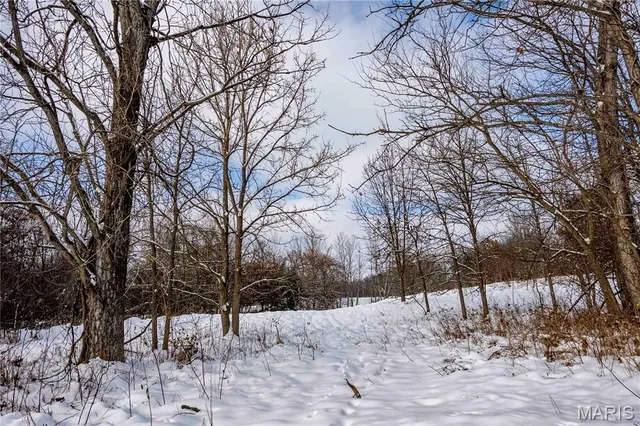 $1 | 0 Highway U Bowling Green, Bowling Green, MO 63334