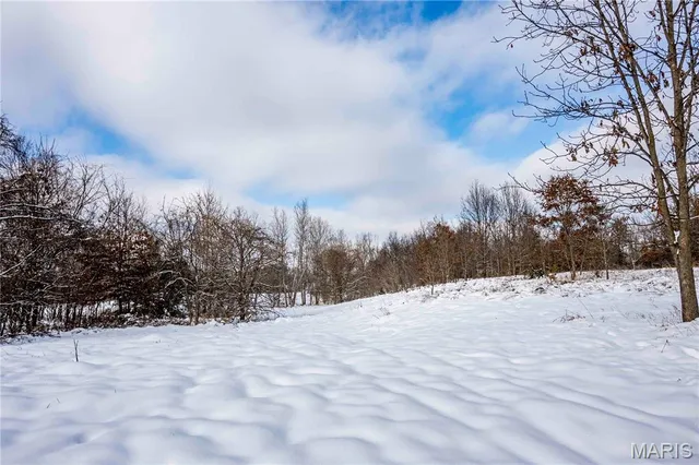 $1 | 0 Highway U Bowling Green, Bowling Green, MO 63334