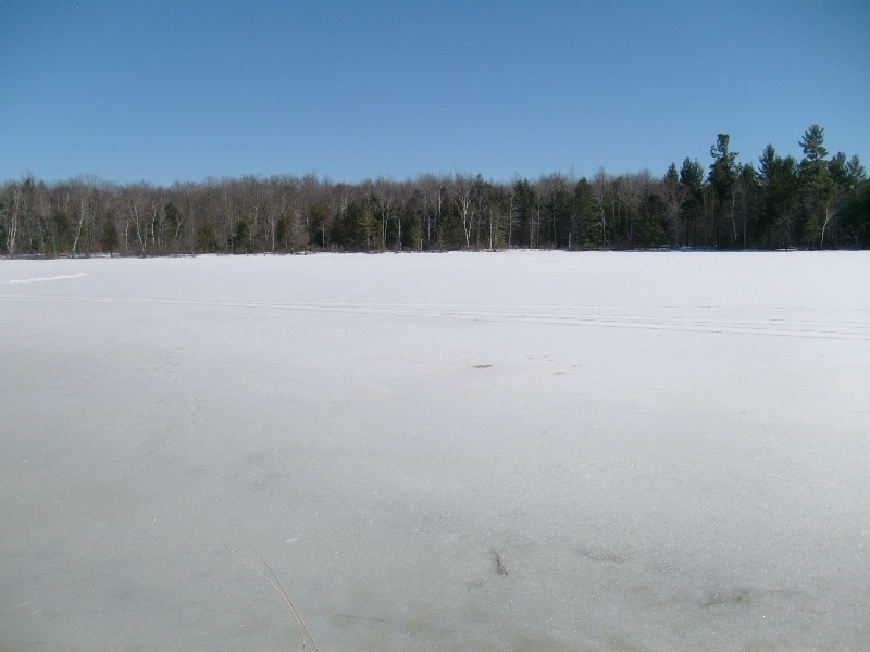 3560 Phelps Road Northeast Kalkaska, MI 49646 - Photo 69 of 89 1858386-69.JPG