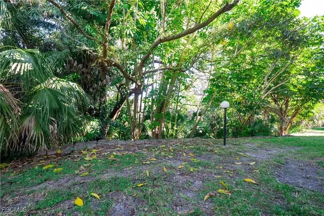 a view of outdoor space with trees