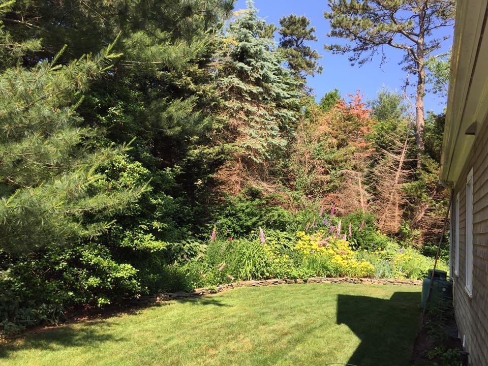 50 Pheasant Way, Unit A&B Centerville, MA 02632 - Photo 28 of 62 IMG_2351